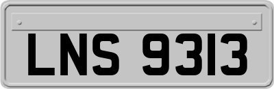 LNS9313