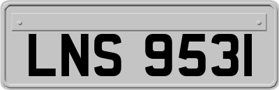 LNS9531