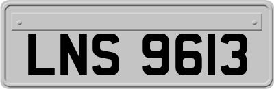 LNS9613