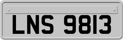 LNS9813
