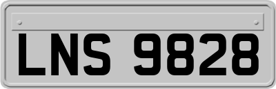 LNS9828