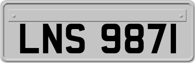 LNS9871
