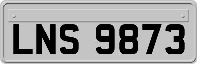 LNS9873