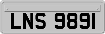 LNS9891
