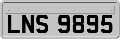 LNS9895