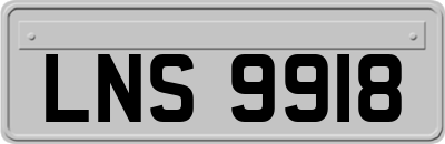 LNS9918