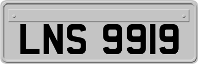 LNS9919