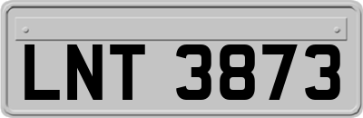 LNT3873