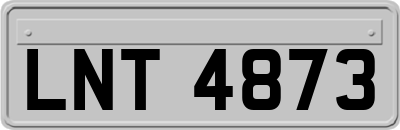 LNT4873