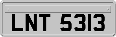 LNT5313