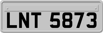 LNT5873