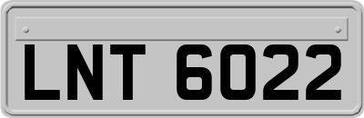LNT6022