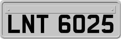 LNT6025