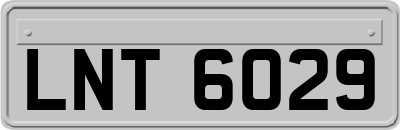 LNT6029