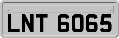 LNT6065
