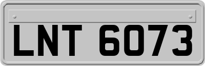 LNT6073