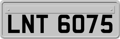 LNT6075