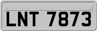 LNT7873