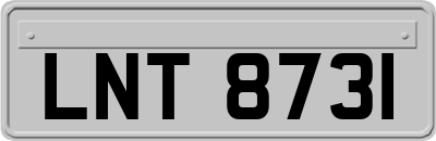 LNT8731