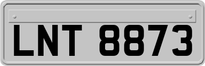 LNT8873