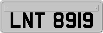 LNT8919