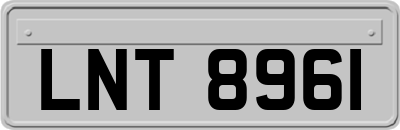 LNT8961