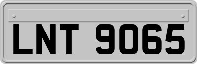 LNT9065
