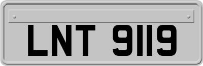 LNT9119