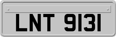 LNT9131