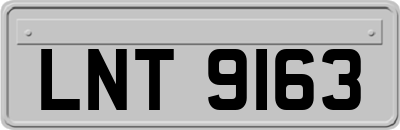 LNT9163