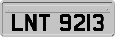 LNT9213