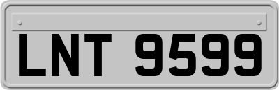 LNT9599
