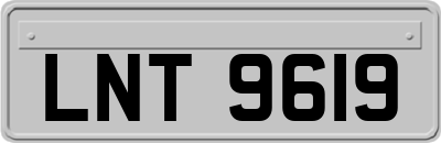 LNT9619