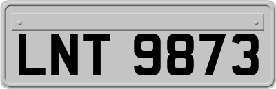 LNT9873
