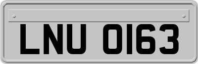 LNU0163