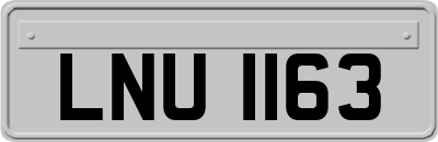 LNU1163