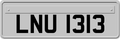 LNU1313