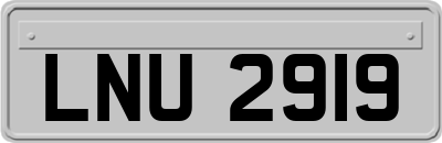 LNU2919