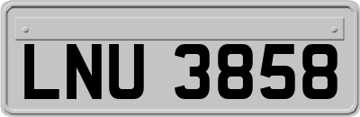 LNU3858