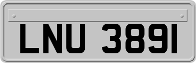 LNU3891