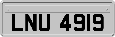LNU4919