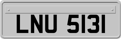 LNU5131