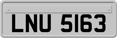 LNU5163