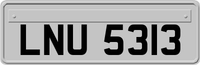 LNU5313
