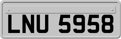 LNU5958
