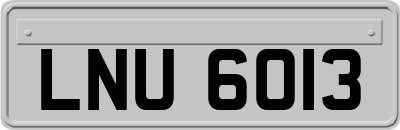 LNU6013