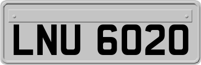 LNU6020