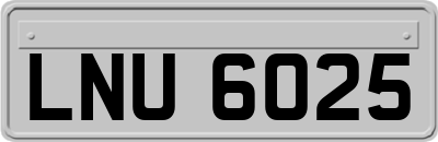 LNU6025