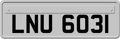 LNU6031