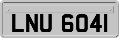 LNU6041